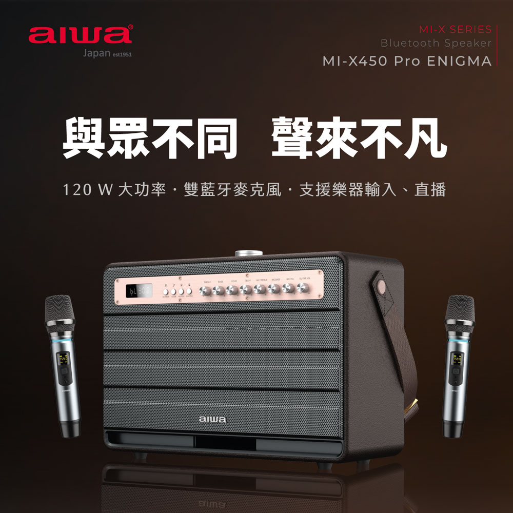 与众不同 声来不凡 120 W 大功率.双蓝牙麦克风.支援乐器输入、直播 